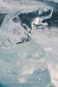 Ours polaire de glace de la Norvège - Bal de neige 2013
